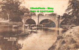R356164 Lion Bridge. Alnwick. A. Tweedy. 1916 - World
