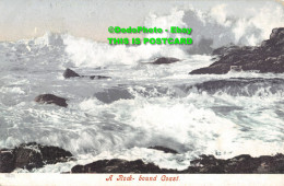 R355174 A Rock. Bound Coast. Postcard. 1905 - World