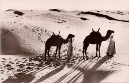 Passage Des Dunes Animée  RV - Other & Unclassified