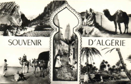 Fanraisie SOUVENIR D'ALGERIE 5 Vues RV - Other & Unclassified