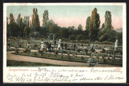 AK Sangerhausen, Rosarium  - Sangerhausen