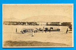 Suisse Léman * Genève Attelage Pierres (déchargées D’une Barque) Au Pâquis * Photo Albumine Vers 1870 - Antiche (ante 1900)