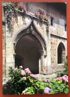 SUBIACO - M. 450 Monastero S. Scolastica - Chiostro - Arco Gotico Flamboyaut (Sec. XV) (c769) - Eglises