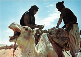 NIGER - Republique Du Niger - Chameliers - Camel Drivers - Animé - Carte Postale - Niger