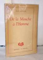 De La Mouche A L'homme - Unclassified