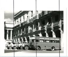 PHOTOGRAPHIE A Identifier.  Camion, Plusieurs Camions . Car, Bus . Saviem, Berliet,  Renault , - Automobiles