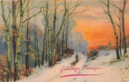 FETES ET VOEUX - Nouvel An - Un Chemin Dans La Neige Recouvert De Neige - Colorisé -  Carte Postale Ancienne - New Year