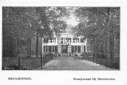 Prent - Oranjewoud Bij Heerenveen - Oranjestein  - 8.5x12.5 Cm - Amerongen