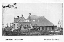 Prent - Drentsche Boerderij Nijeveen Bij Meppel  - 8.5x12.5 Cm - Other & Unclassified