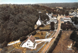 27-AJOU-LA-FERRIERE-SUR-RISLE- VUE DU CIEL - Otros & Sin Clasificación