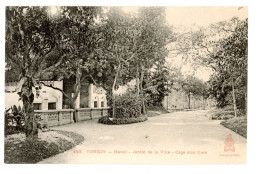 INDOCHINE FRANCAISE VIET NAM TONKIN HANOI JARDIN DE LA VILLE CAGE AUX OURS - Viêt-Nam