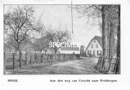 Prent - Aan Den Weg Van Utrecht Naar Driebergen - Odijk  - 8.5x12.5 Cm - Autres & Non Classés