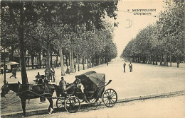 34 - Montpellier - L'Esplanade - Animée - Calèche - Chevaux - Carte Neuve - CPA - Voir Scans Recto-Verso - Montpellier