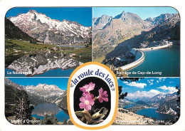 65 - Hautes Pyrénées - La Route Des Lacs - Multivues - Fleurs - CPM - Voir Scans Recto-Verso - Altri & Non Classificati