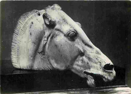 Art - Antiquités - Horse Of Selene - CPM - Voir Scans Recto-Verso - Antiek