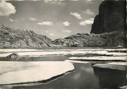 05 - Hautes Alpes - Lac De L'Eychauda - Hiver - Neige - CPM - Voir Scans Recto-Verso - Autres & Non Classés