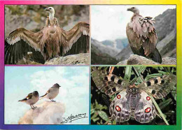 Animaux - Papillons - Papillon Apollon - Vautour Des Pyrénées - Moineau - Oiseaux - Carte Neuve - CPM - Voir Scans Recto - Papillons
