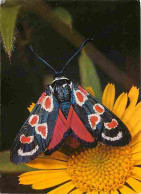 Animaux - Papillons - Zygaena Occitanica Dup - Blutstropfchen - Zygène - Burnet - Flamme Postale De Autun - CPM - Voir S - Mariposas