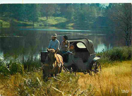 Animaux - Chevaux - Promenade En Calèche - Homme Fumant La Pipe - CPM - Voir Scans Recto-Verso - Paarden