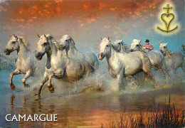 Animaux - Chevaux - Camargue - Chevaux Sauvages Dans Les Marais - CPM - Voir Scans Recto-Verso - Paarden