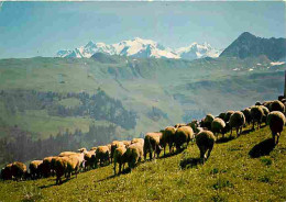 Animaux - Moutons - Alpes - CPM - Voir Scans Recto-Verso - Andere & Zonder Classificatie