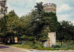 94 - Val De Marne - Champigny - Coeuilly - Plessis-Trevise - La Tour Pantray - Vieilles Pierres - Carte Dentelée - CPSM  - Sonstige & Ohne Zuordnung