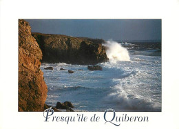 56 - Presqu'Ile De Quiberon - CPM - Voir Scans Recto-Verso - Quiberon