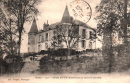 St Denis La Chevasse : Château De Puytesson - Autres & Non Classés