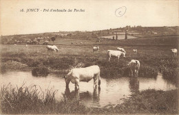 D9364 Joncy Pré D'embouche Des Perches - Other & Unclassified