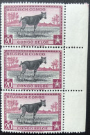 Congo Belge 1942 Definitive Okapi 20Fr - (en Flamand) MNH** - Other & Unclassified