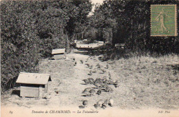 4V4Sb   41 Domaine De Chambord La Faisanderie Chasse Faisan - Chambord