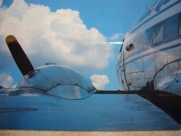 Avion / Airplane / AIR QUEENSLAND / Douglas DC-3 / Seen At Weipa Airport - 1946-....: Ere Moderne