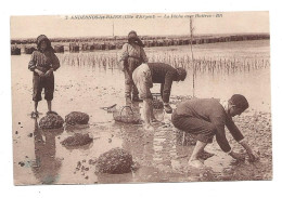 CPA 33  ANDERNOS LES BAINS  La Pêche Aux Huitres   Non écrite      (1690) - Andernos-les-Bains