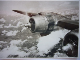 Avion / Airplane / SABENA / Douglas DC-6 / Above The Clouds / Airline Issue - 1946-....: Moderne