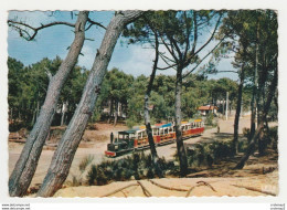 33 CAP FERRET Vers Andernos Les Bains N°93 LE PETIT TRAIN Du Cap Ferret Bassin D'Arcachon Côte D'Argent En 1963 - Andernos-les-Bains