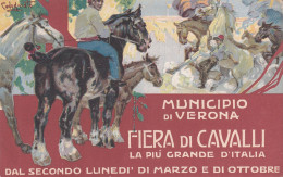 CODOGNATO - Cartolina Pubblicitaria Municipio Verona FIERA CAVALLI - Otros & Sin Clasificación