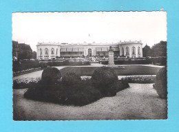 DEAUVILLE - Le Casino Et Les Jardins  (FR 20.098) - Deauville