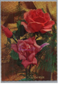 HEUREUX ANNIVERSAIRE - Carte Avec Un Bouquet De Rosier Rose Verdure - Geburtstag