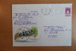 Postal Stationery, Beetle - Other & Unclassified