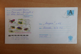 Postal Stationery, Beetle - Andere & Zonder Classificatie