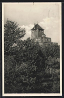 AK Burg / Fehmarn, Restaurant Wartturm Vom Wald Gesehen  - Fehmarn