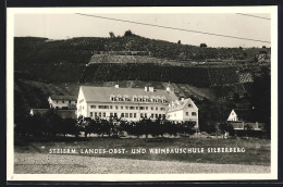 AK Silberberg /Steierm. Landes- Obst- Und Weinbauschule  - Other & Unclassified