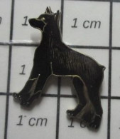 1818B Pin's Pins / Beau Et Rare / THEME : ANIMAUX / CHIEN NOIR DOBERMAN - Animals