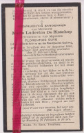 Devotie Doodsprentje Overlijden - Maria De Bisschop Echtg Florentius Suys - Teralfene 1866 - 1934 - Obituary Notices