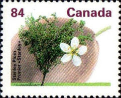 Canada Poste N** Yv:1227 Mi:1272A Stanley Plum Prunier Stanley - Unused Stamps