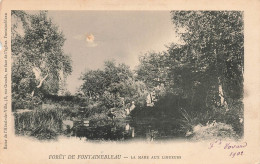 FRANCE - Fontainebleau - Forêt - La Mare Aux Ligueurs - Carte Postale Ancienne - Fontainebleau