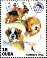 Cuba Poste Obl Yv:3928 Mi:4346 Chiens (TB Cachet Rond) - Used Stamps