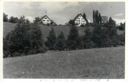 Postcard Switzerland Mountain Chalets - Autres & Non Classés