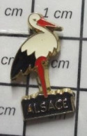 1818B Pin's Pins / Beau Et Rare / THEME : ANIMAUX / CIGOGNE NOIRE ET BLANCHE ALSACE OISEAU - Animaux