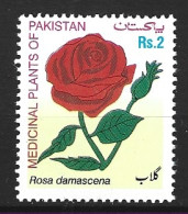 PAKISTAN. N°1091 De 2003. Rose. - Rozen